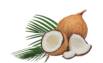 Sabor coco